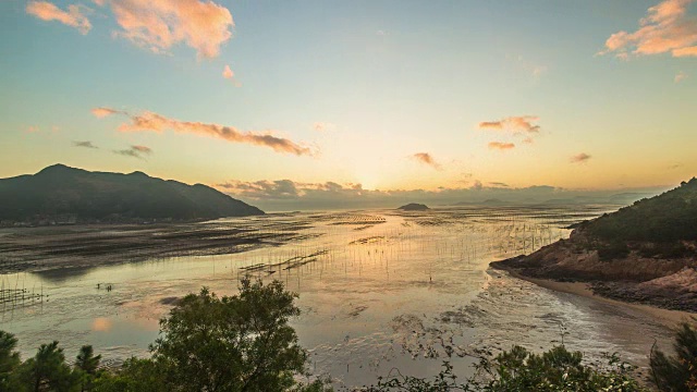 紫菜田里的日出视频素材