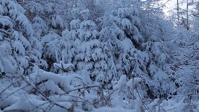 雪景蛇垭口，皮克区国家公园，德比郡，英国视频素材