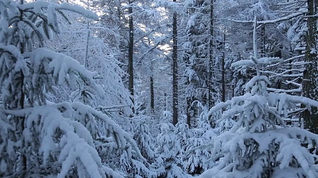 雪景蛇垭口，皮克区国家公园，德比郡，英国视频素材