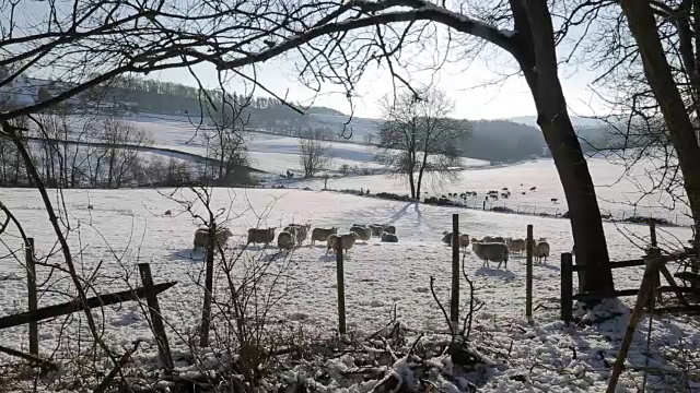 哈索普附近的雪景，皮克区国家公园，德比郡，英格兰，英国视频素材