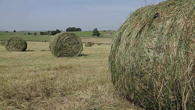 欧洲，英国，德比郡，皮克区国家公园，Tissington附近的海田视频素材