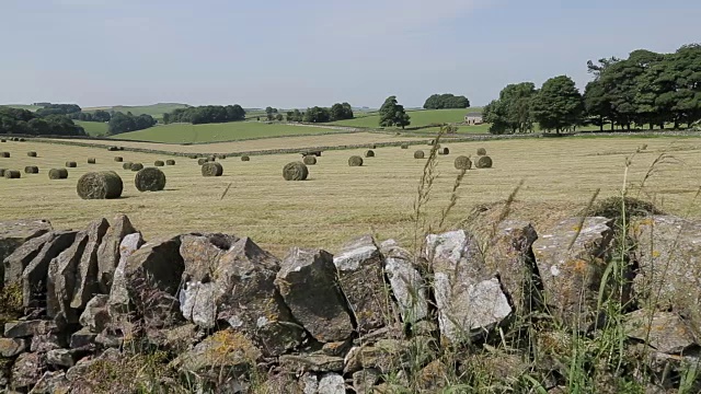 欧洲，英国，德比郡，皮克区国家公园，Tissington附近的海田视频素材