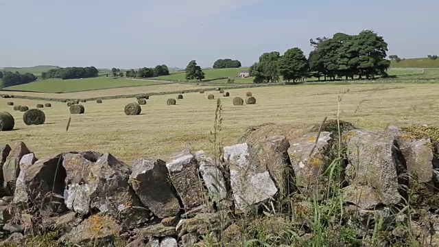 欧洲，英国，德比郡，皮克区国家公园，Tissington附近的海田视频素材