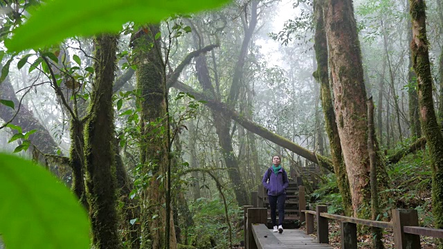 徒步旅行者在热带雨林中的桥上行走视频素材