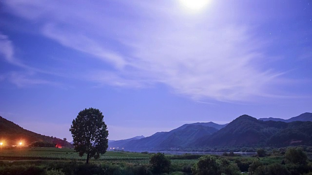 夜晚有一棵树的乡村景色视频素材