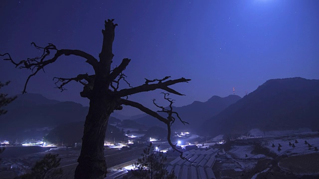 夜景莫伦台崖与老树和乡村视频素材