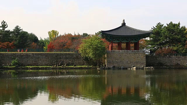 秋景Anapji Pond(Korea Historic Place 18)的亭子和水面倒影视频素材