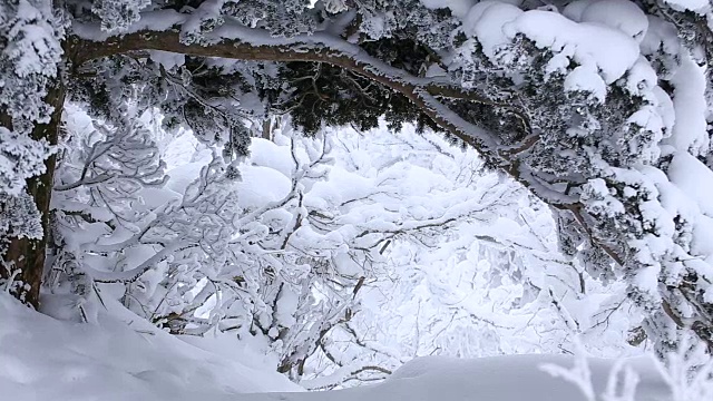 德女山国家公园冬天的雪景视频素材