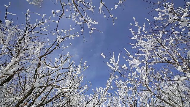 雪景的德女山国家公园和蓝天的冬天视频素材