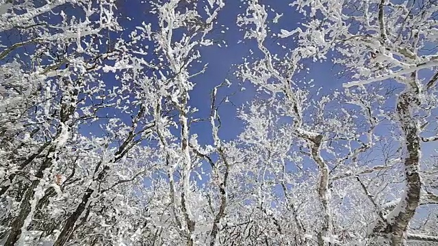 雪景的德女山国家公园和蓝天的冬天视频素材