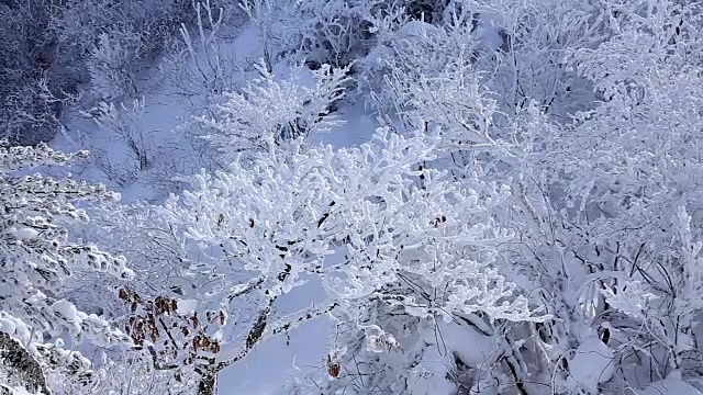 德女山国家公园冬天的雪景视频素材