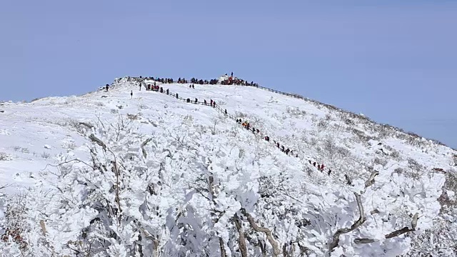 雪景的德女山国家公园，蓝天和人们在冬天登山视频素材