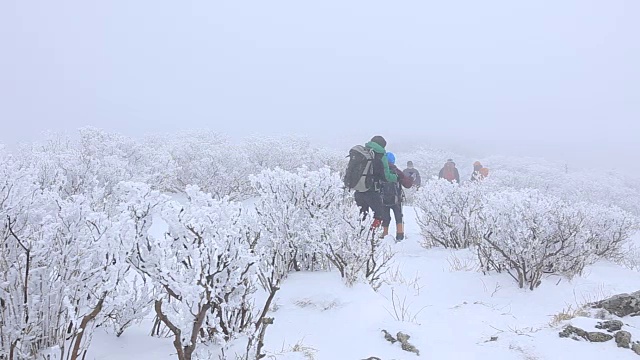 德女山国家公园的雪景和人们在冬天爬山视频素材