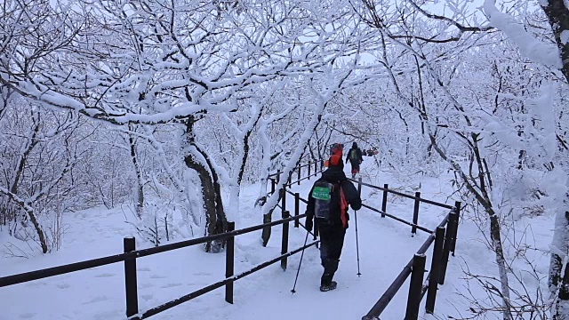 德女山国家公园的雪景和人们在冬天爬山视频素材