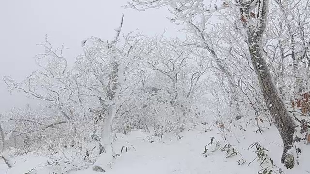 德女山国家公园冬天的雪景视频素材