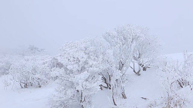 德女山国家公园冬天的雪景视频素材