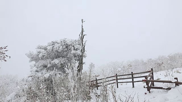 德女山国家公园冬天的雪景视频素材