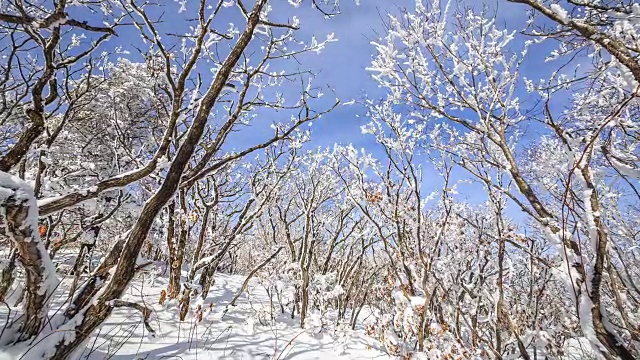 雪景的德女山国家公园和蓝天的冬天视频素材