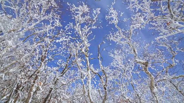 雪景的德女山国家公园和蓝天的冬天视频素材