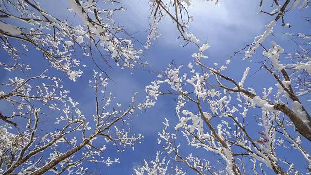 雪景的德女山国家公园和蓝天的冬天视频素材