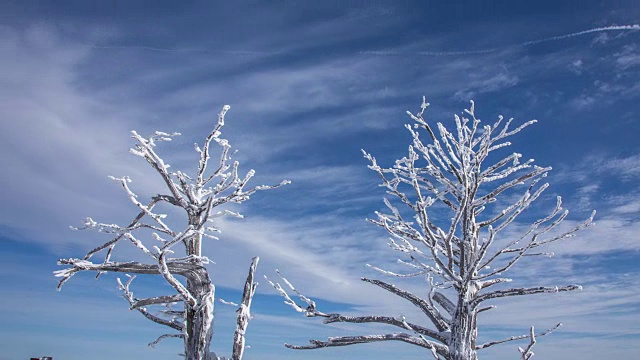 雪景的德女山国家公园和蓝天的冬天视频素材