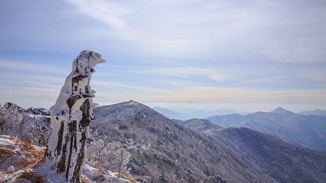 冬景的德女山国家公园与雪在死树视频素材