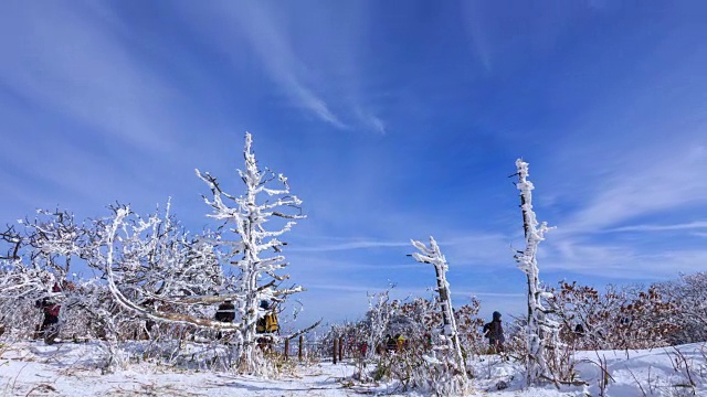 雪景的德女山国家公园和蓝天的冬天视频素材