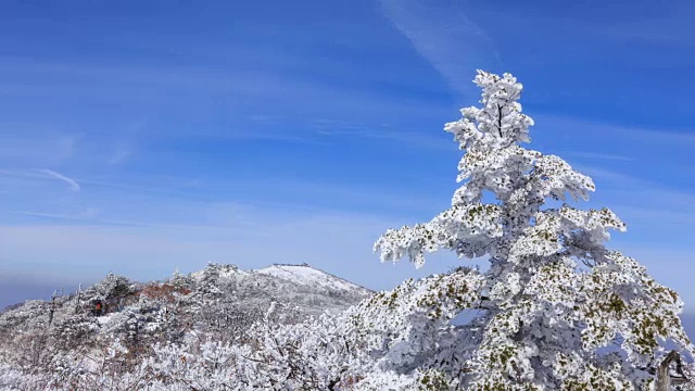 雪景的德女山国家公园和蓝天的冬天视频素材