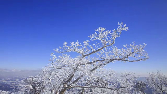 蓝天下的八望三山雪景视频素材