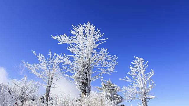 蓝天下的八望三山雪景视频素材