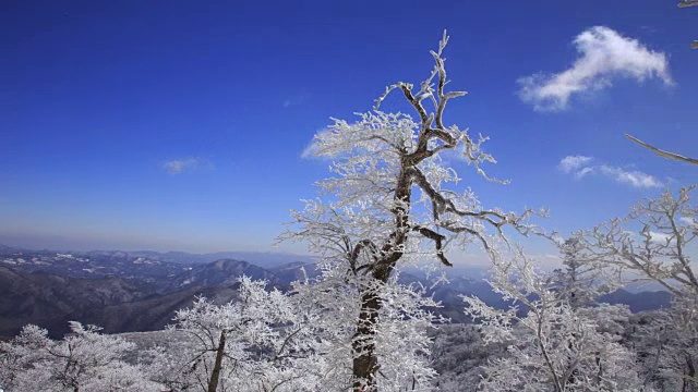 蓝天下的八望三山雪景视频素材