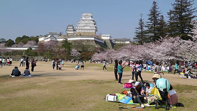 人们在姬路城野餐，姬路，本州，日本视频素材