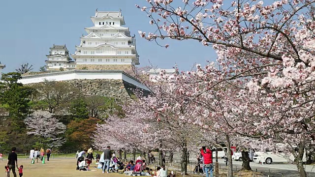 人们在姬路城野餐，姬路，本州，日本视频素材