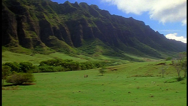 PAN来自绿色景观+山脉/ Kualoa牧场，瓦胡岛，夏威夷视频素材