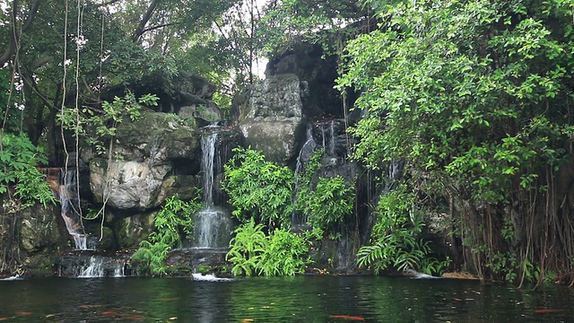 池塘里的锦鲤和瀑布视频素材