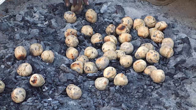 巴蒂烹饪视频下载