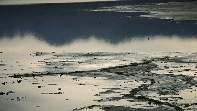 雨点落在死水上视频素材