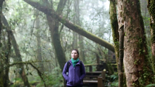 徒步旅行的年轻女子徒步旅行和饮用水在雨林，4K (UHD)视频素材