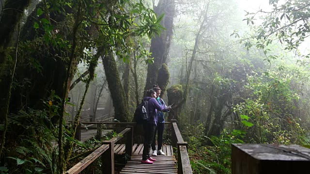 摄影:两个徒步旅行的年轻女子在热带雨林中一边徒步一边看地图视频素材