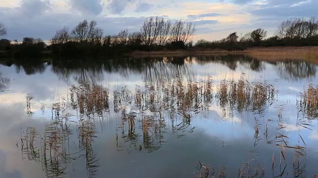 日落在沼泽排水水道视频素材