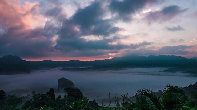 清晨薄雾，热带雨林的晨曦。视频素材