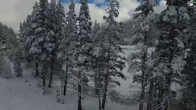 空中低空上升:草湖视频素材