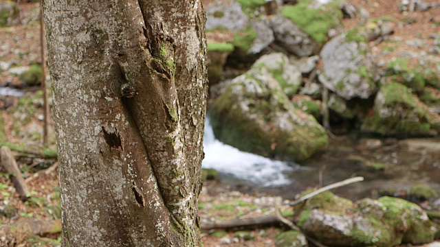 山、河、瀑——自然景观视频下载