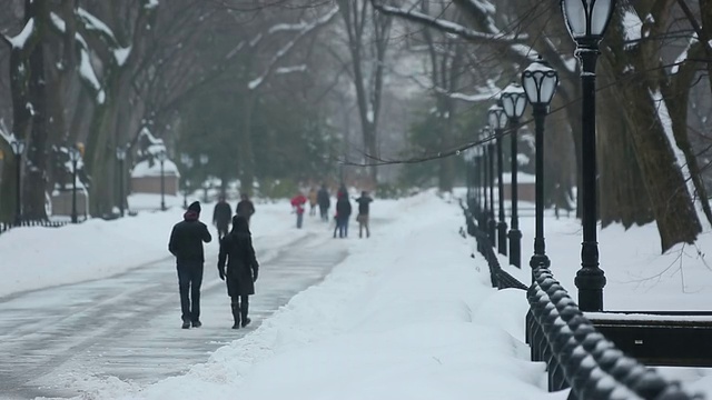 美国纽约中央公园，人们走在被雪覆盖的林荫道上视频素材