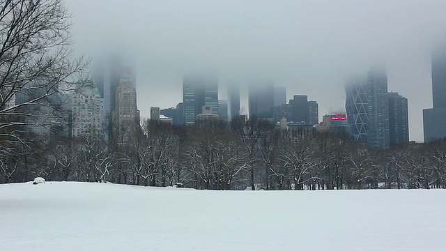 美国纽约中央公园，被雪覆盖的绵羊草地和被云覆盖的曼哈顿摩天大楼视频素材