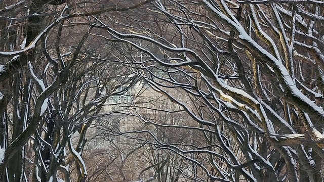 美国纽约中央公园，早上，女性跑步和被雪覆盖和被一排雪树包围的购物中心视频素材