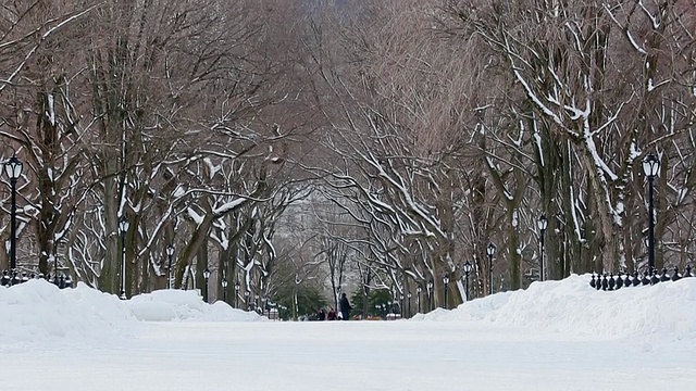 WS TU在美国纽约中央公园拍摄的人们走在被雪覆盖的林荫大道上，周围是一排被雪包围的树视频素材