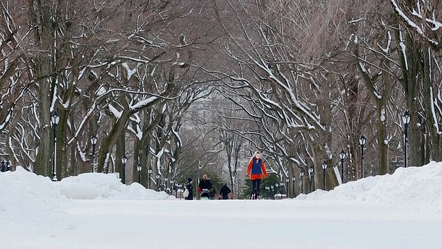 WS TU在美国纽约中央公园拍摄的人们走在被雪覆盖的林荫大道上，周围是一排被雪包围的树视频素材