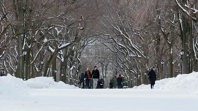 WS TU在美国纽约中央公园拍摄的人们走在被雪覆盖的林荫大道上，周围是一排被雪包围的树视频素材