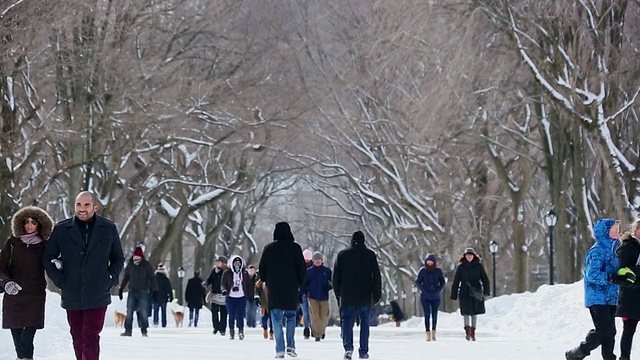 美国纽约中央公园，人们在被雪覆盖和被一排雪树包围的广场上散步视频素材